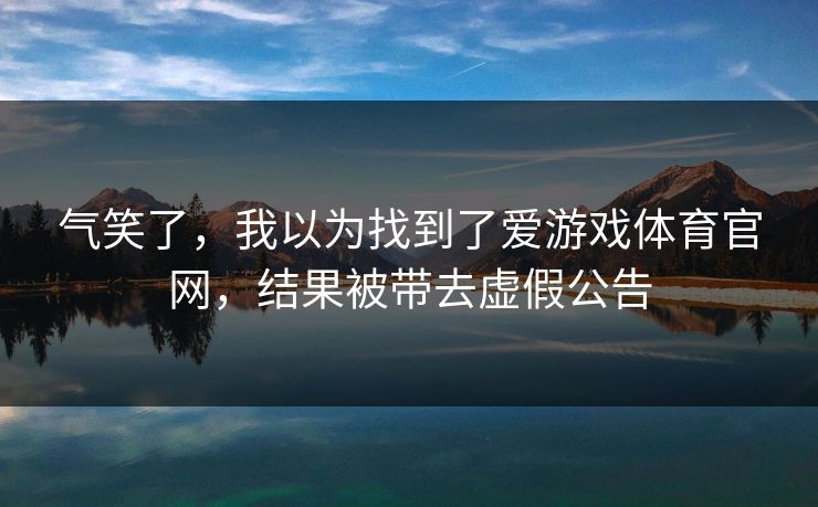 气笑了，我以为找到了爱游戏体育官网，结果被带去虚假公告