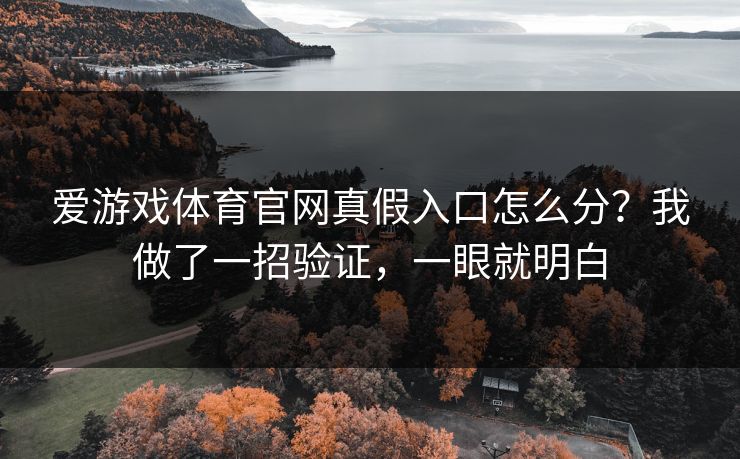 爱游戏体育官网真假入口怎么分？我做了一招验证，一眼就明白